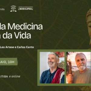 A Roda da Medicina e a Roda da Vida: Ciclos Sagrados como Cura e Liberação