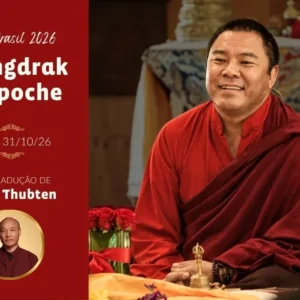 A felicidade é possível num mundo individualista? | Palestra com Dungse Jigme Wangdrak Rinpoche em POA